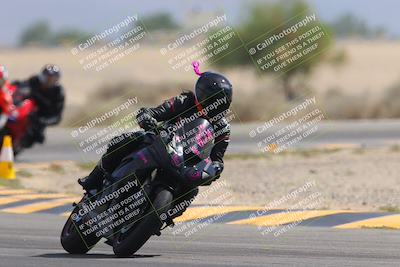 media/Sep-30-2023-SoCal Trackdays (Sat) [[636657bffb]]/Turn 15 (1120am)/